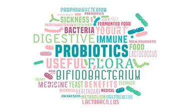 An Introductory Guide to Probiotics